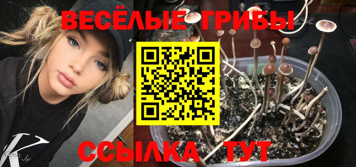 Волоколамск  Галлюциногенные грибы ЛСД  Вход с VPN 